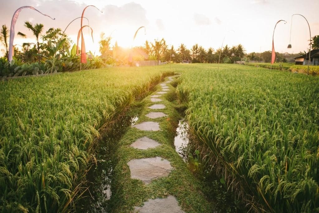 The Runik Ubud Luaran gambar